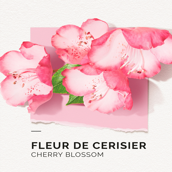 cherry blossom eau de parfum
