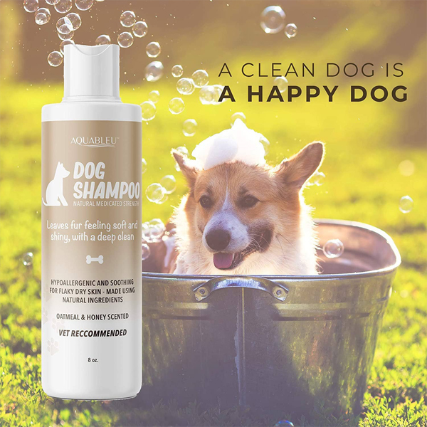 oatmeal dog shampoo