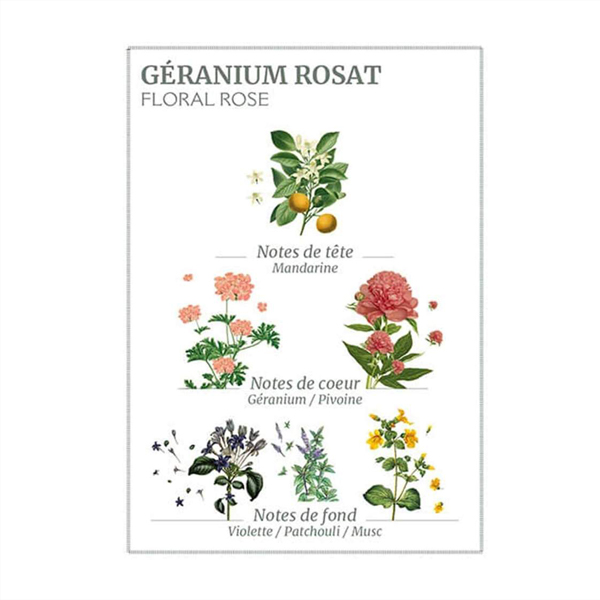geranium olfactory pyramid