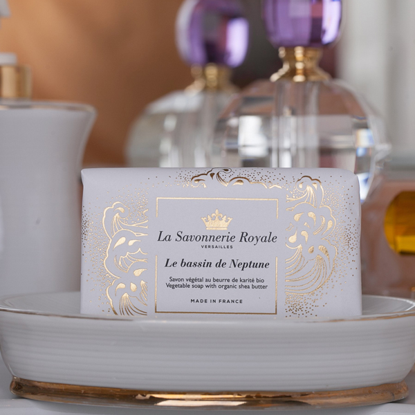 le bassin de neptune