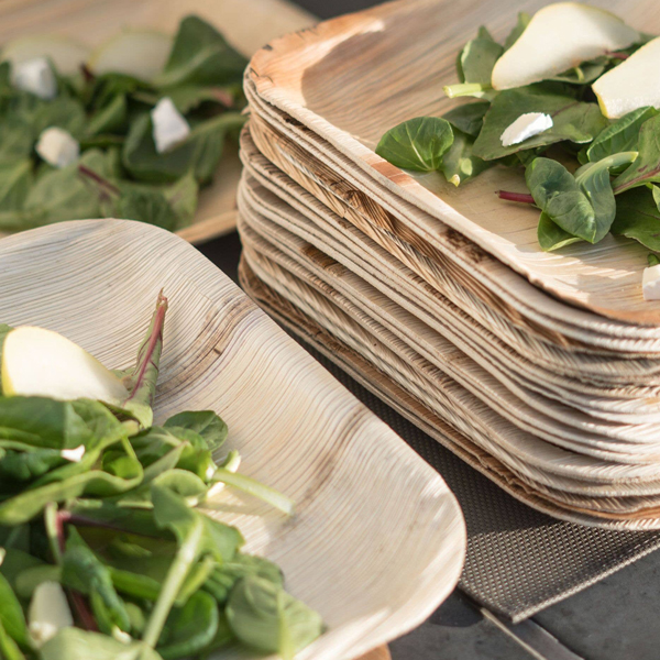 10 inch square plate 